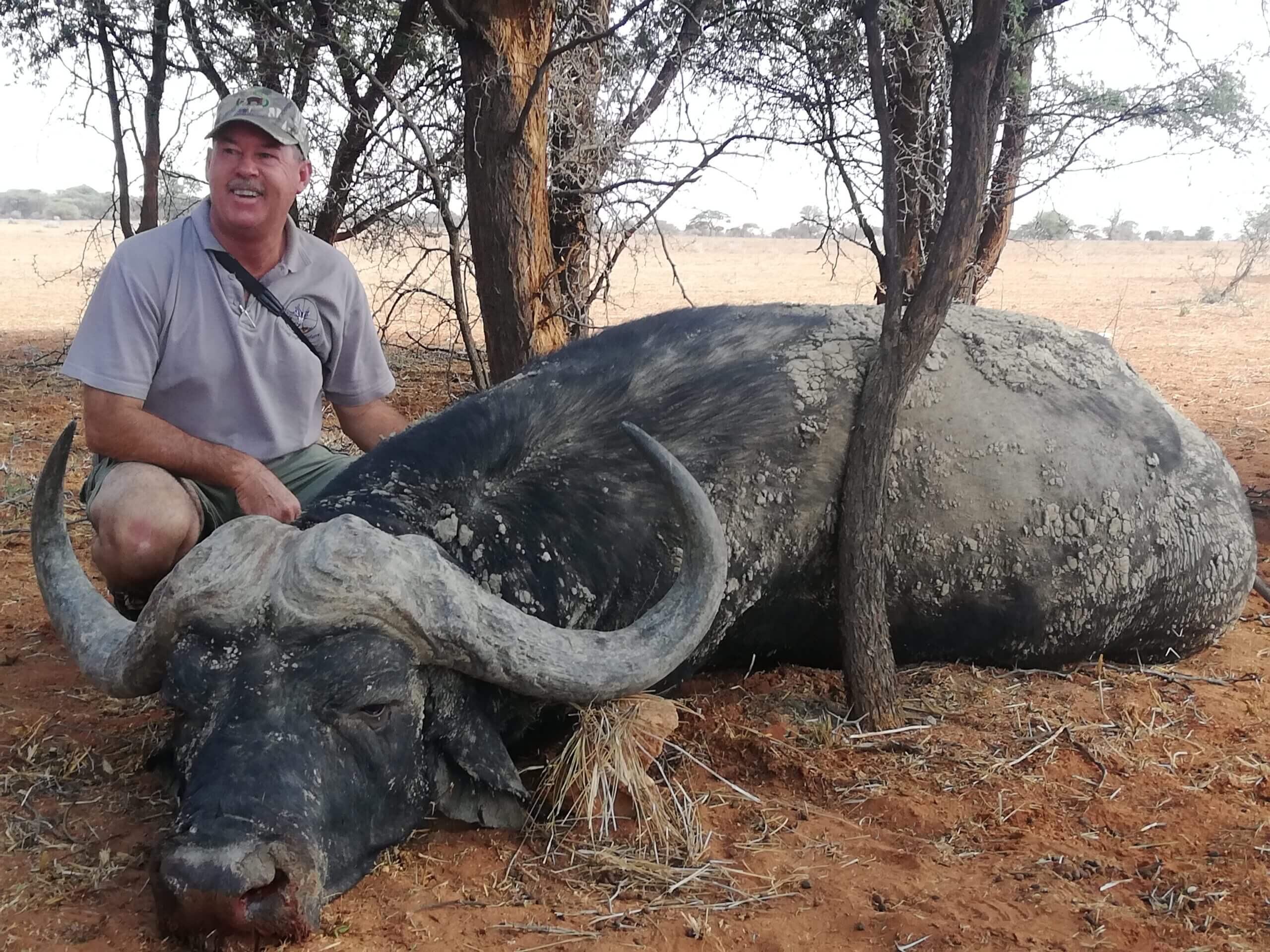 person standing next to a buffalo